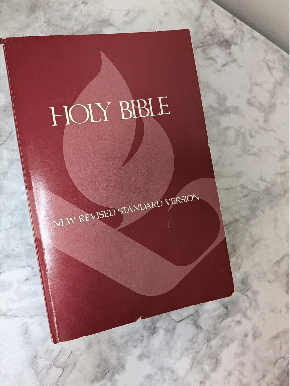 New Revised Standard Version (NRSV) Holy Bible Soft Cover 1989